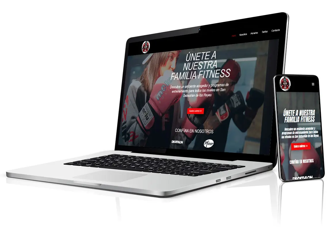 Responsive web image